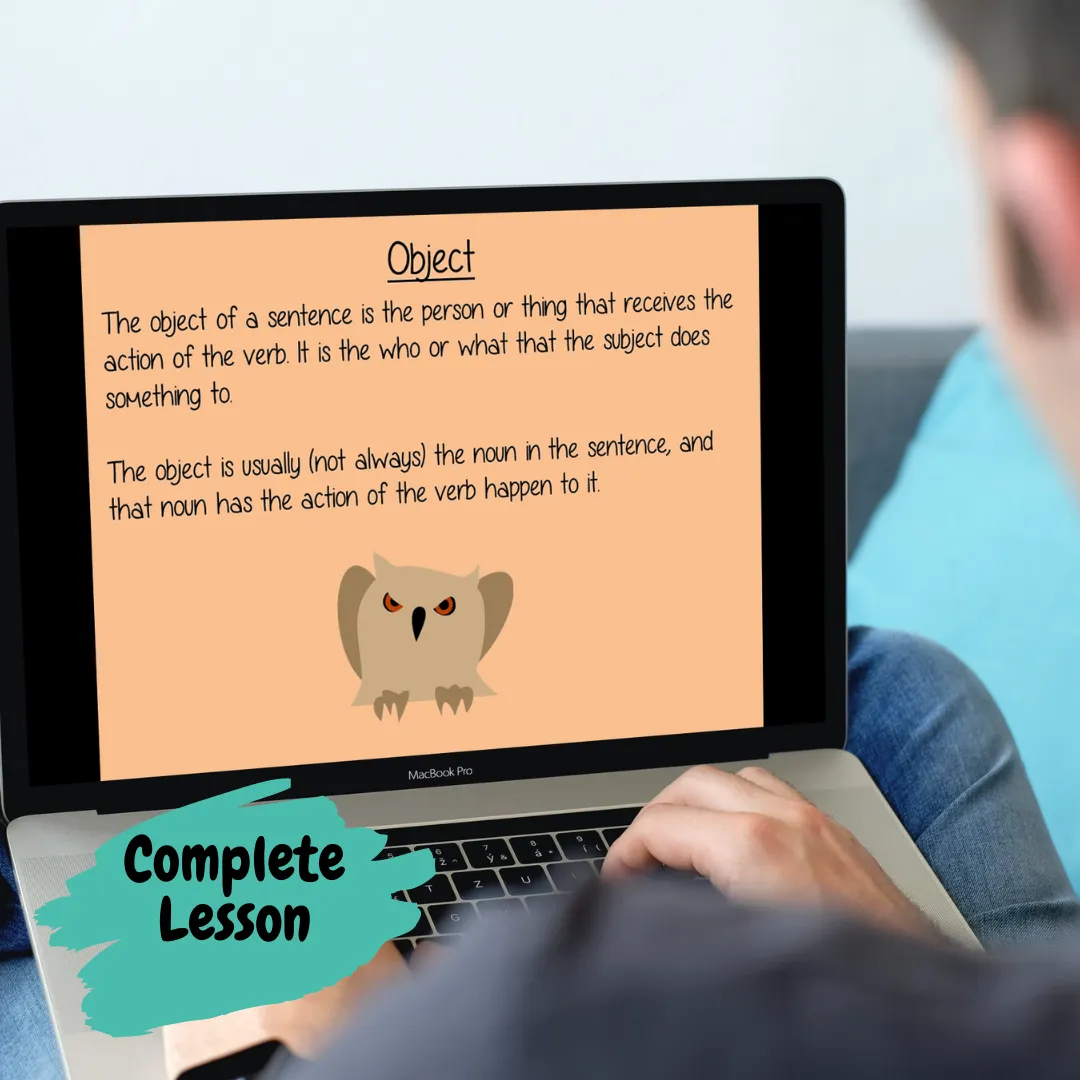 Active and Passive Sentences Lesson