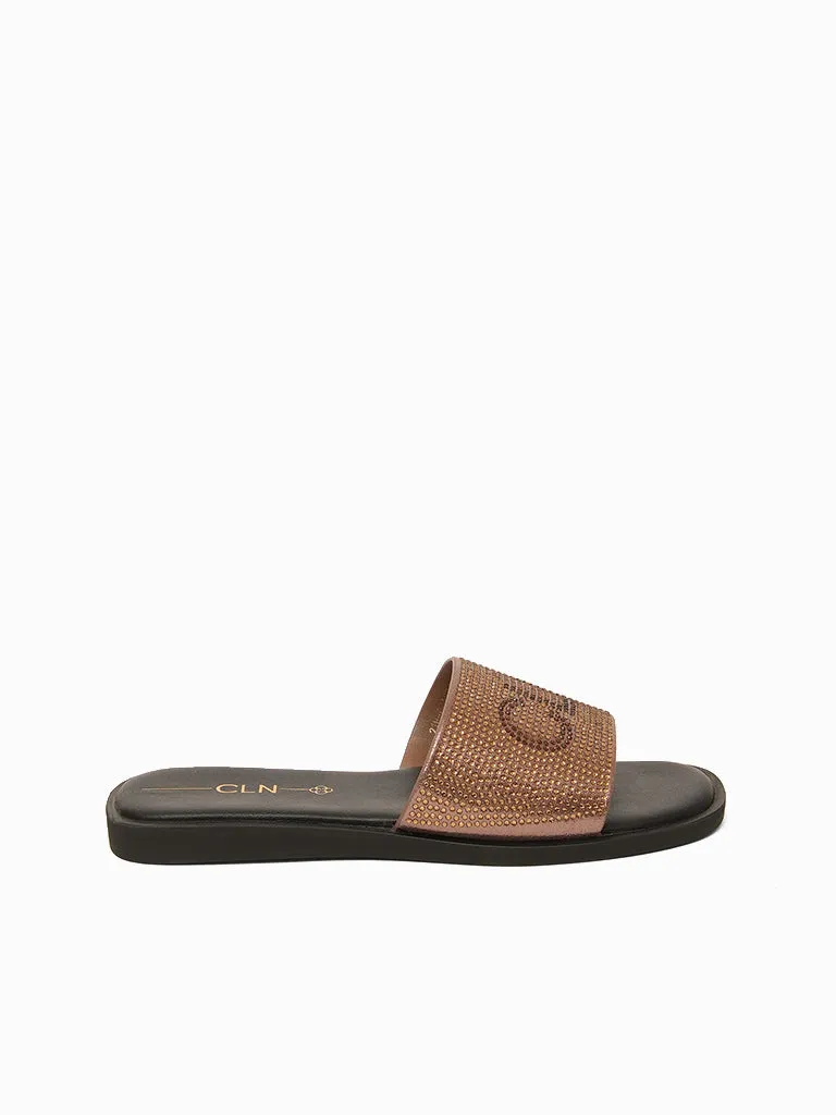 Chase Slides