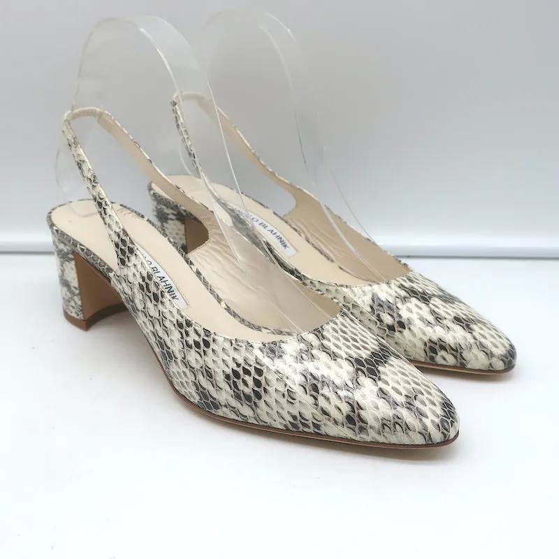 Manolo Blahnik Allurasa Slingback Pumps Cream Snakeskin Size 38.5 NEW