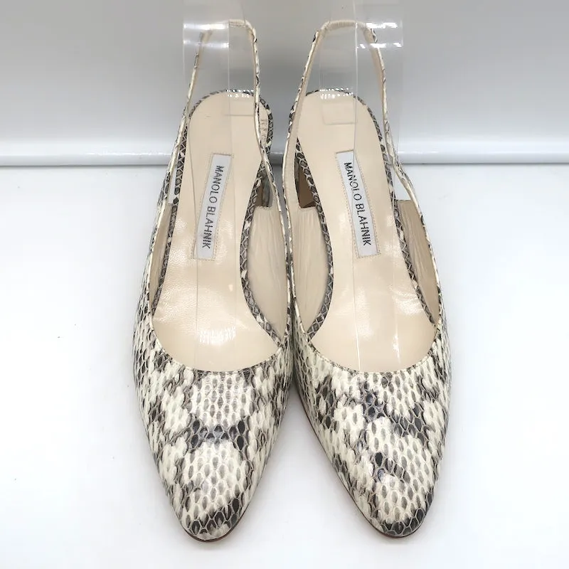 Manolo Blahnik Allurasa Slingback Pumps Cream Snakeskin Size 38.5 NEW