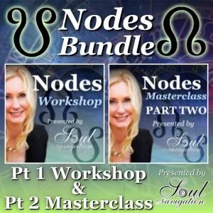 Meredith's "Nodes Bundle" Part 1 & 2, Workshop and Masterclass - video link bundle