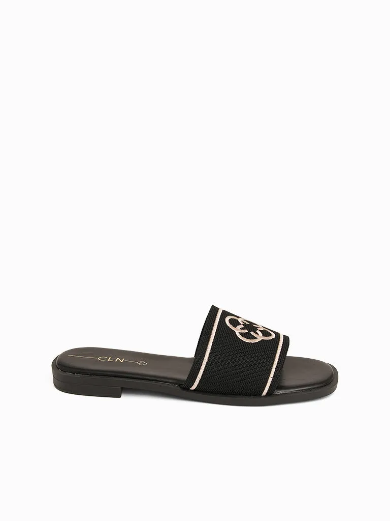 Oceania Slides