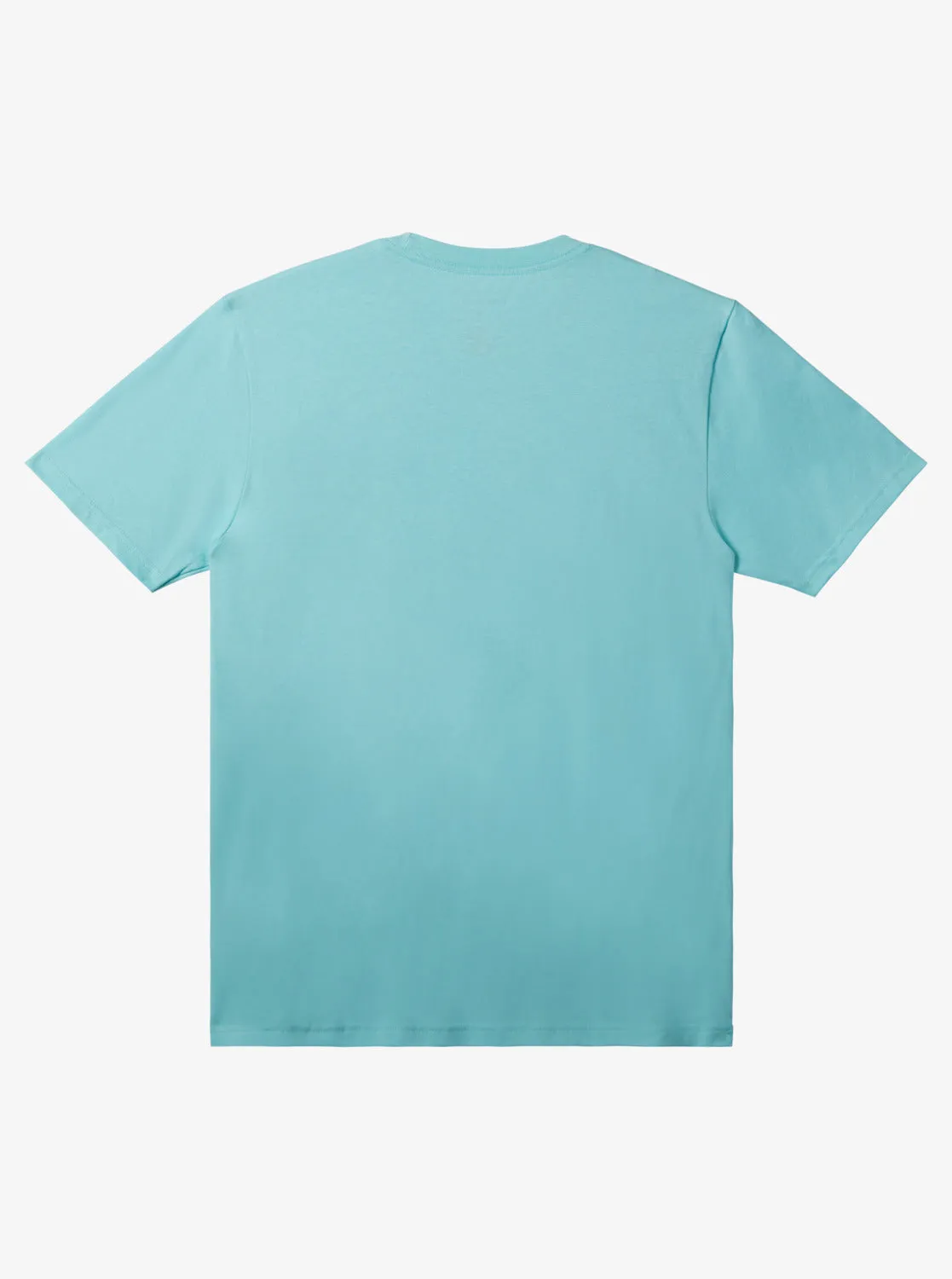 Quiksilver Mens Mw Mini Logo T-shirt