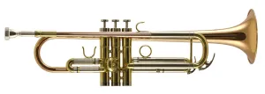 TREVOR JAMES RENAISSANCE BB TRUMPET 4500